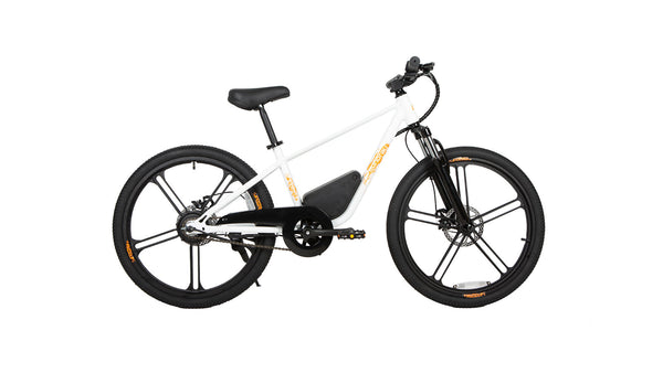 EUNORAU EKIDS-24 – Youth Electric Bike for Young Adventurers