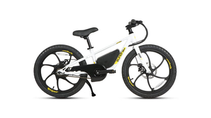 EUNORAU EKIDS-20 Electric Bike