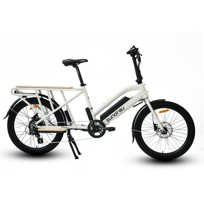 EUNORAU MAX-CARGO 48V 750W Electric Cargo Bike